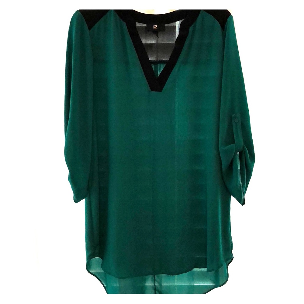 Sheer Green V Neck Chiffon Blouse